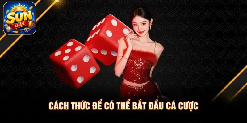 Cách thức để có thể bắt đầu cá cược